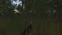 Wild Turkey Hunter VR Screenshot 1
